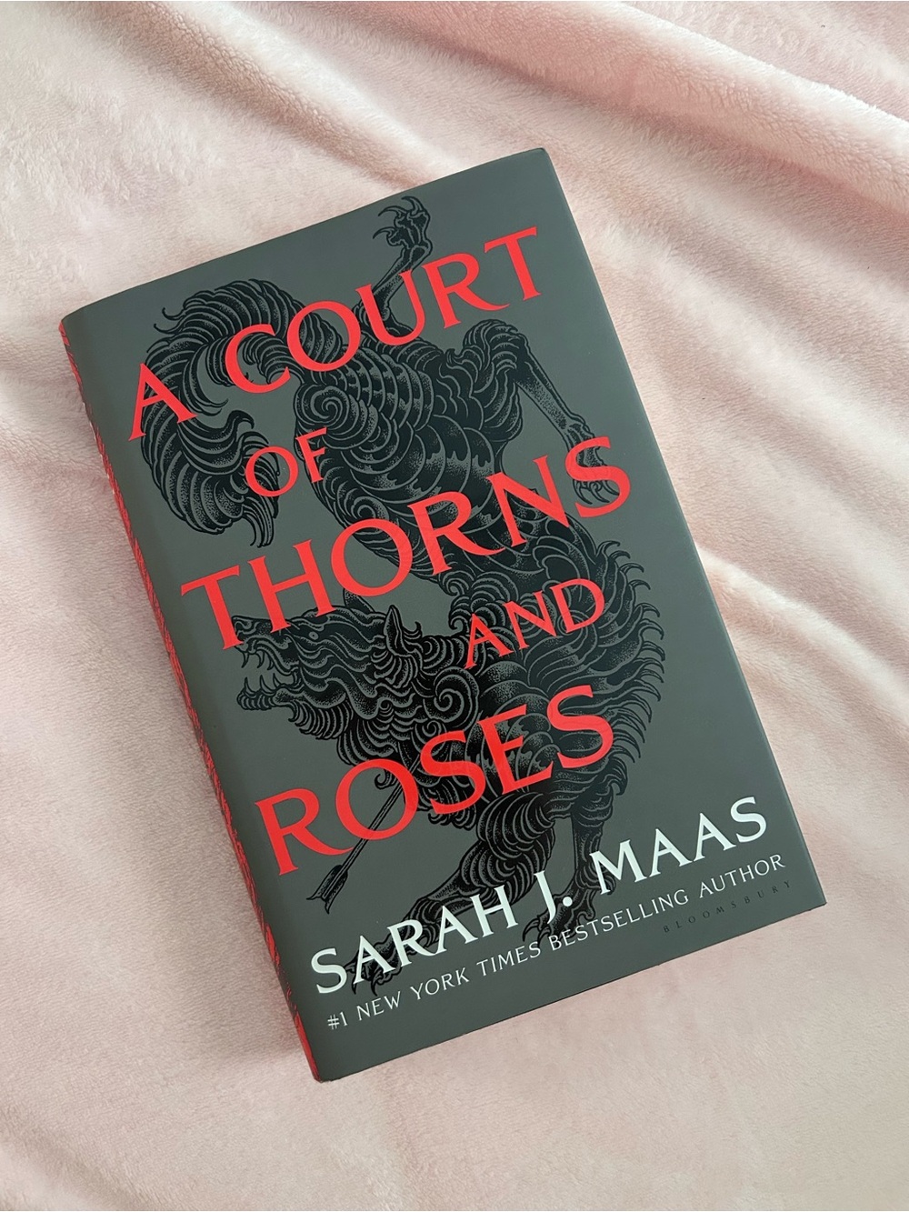 A Court of Thorns and Roses